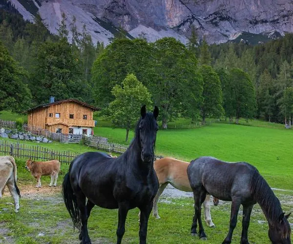 Holzerjuwel - Minzlhof Casa vacanze Ramsau am Dachstein